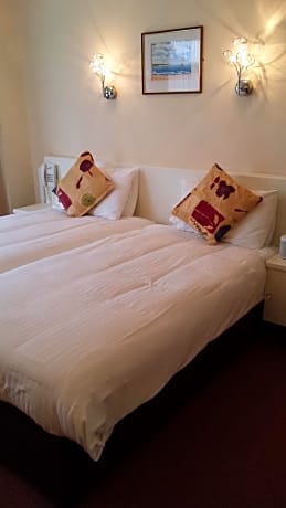 Executive Double or Twin Room