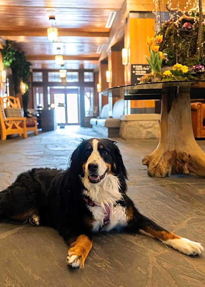 Nita Lake Lodge