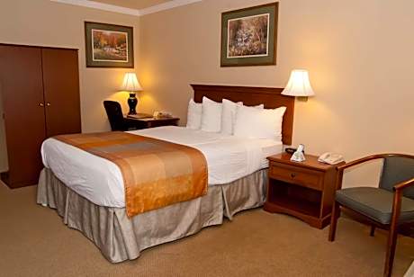 Queen Room - Disability Access - Non Smoking