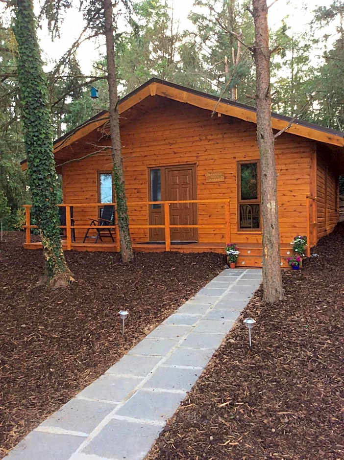Butterfly cabin