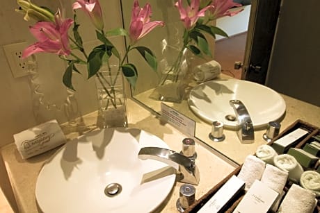 Master Suite con una cama