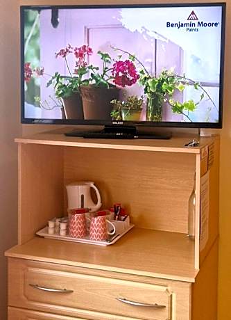 Deluxe Double or Twin Room with Garden View