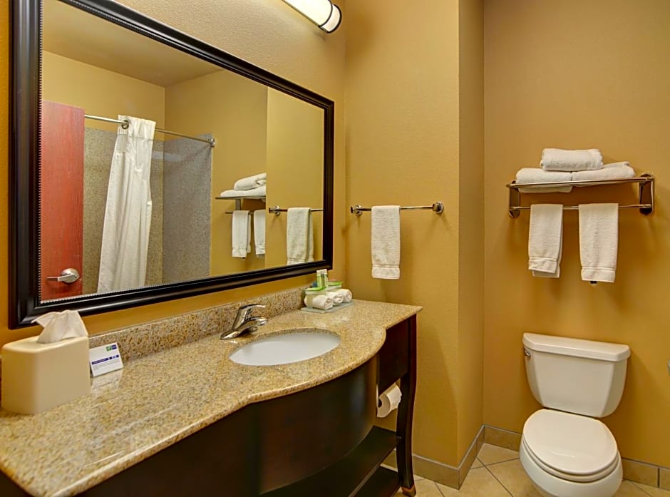 Holiday Inn Express Hotel and Suites Altus