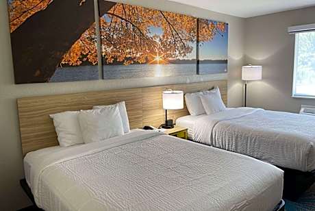 2 Queen Beds Non-Smoking