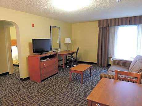 One-Bedroom King Suite