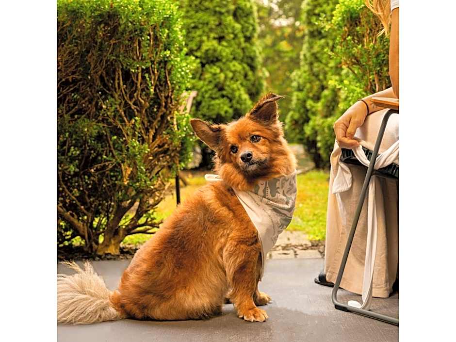 Trailborn Highlands, Outdoor Collection by Marriott Bonvoy