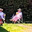 Leithfield Beach Holiday Park