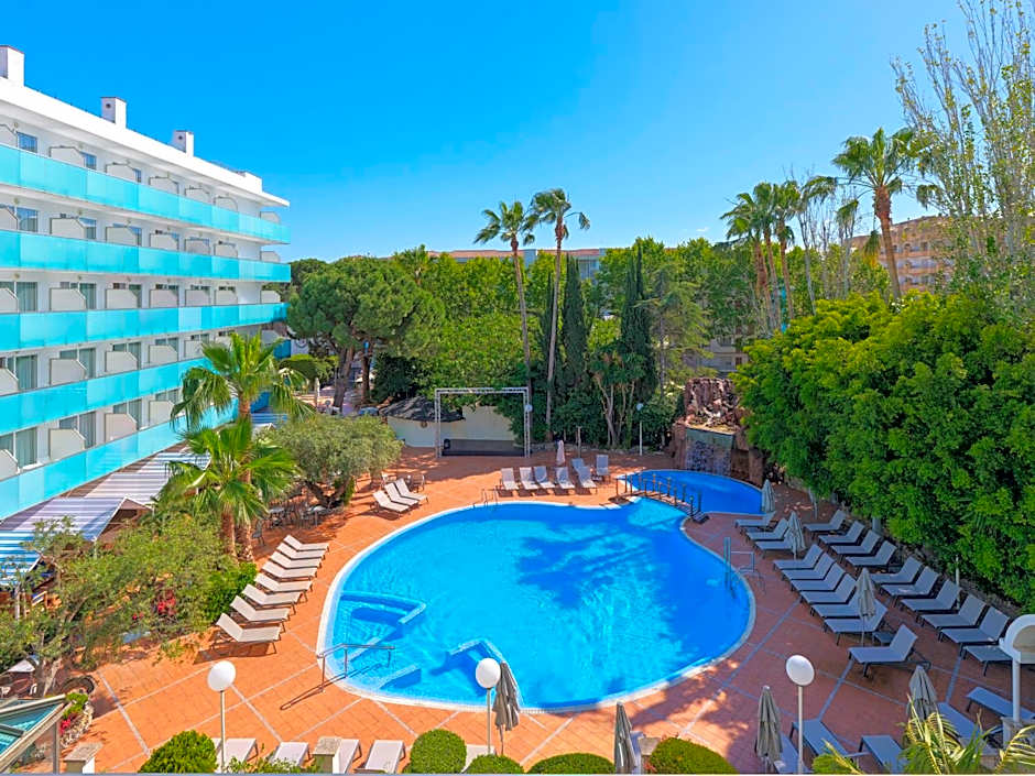 H10 Delfín - Adults Only