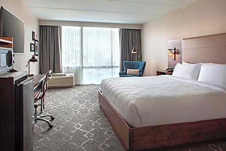 Room, 1 King Bed (Mobility Accessible, Roll-In Shower) (1 King Bed)