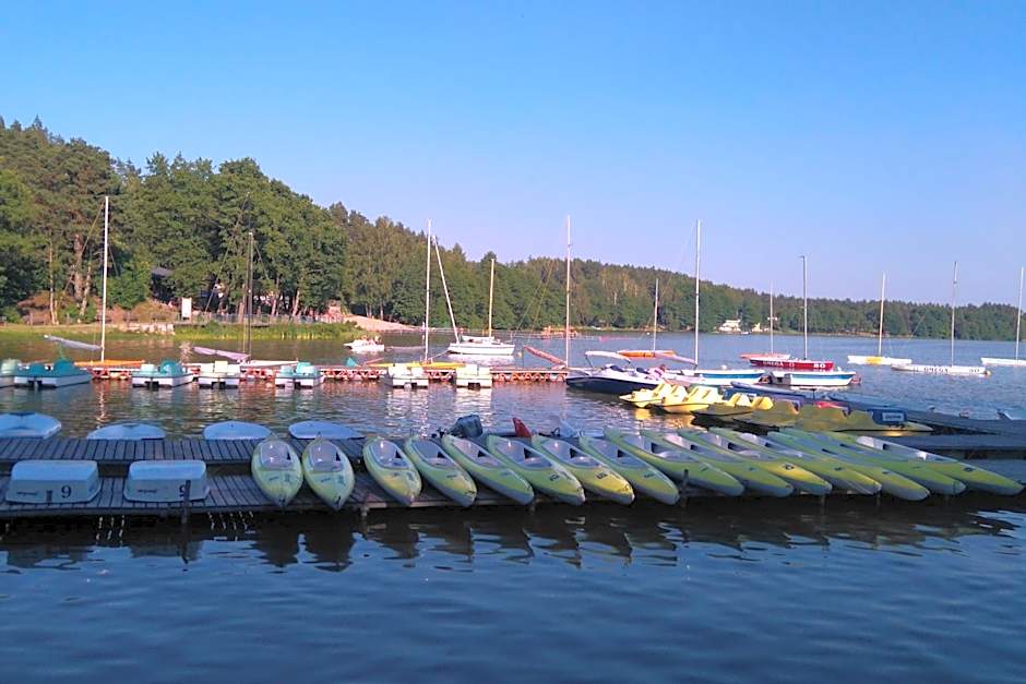 Domki Kaszuby - jezioro las i zoo w Szarlocie