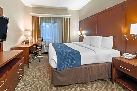 King Room with Roll-In Shower - Accessible/Non-Smoking