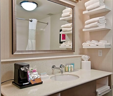 1 King Hearing Access Studio W/Sofabed Ns