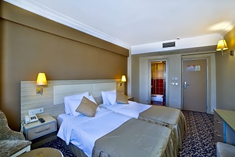 Double or twin standard