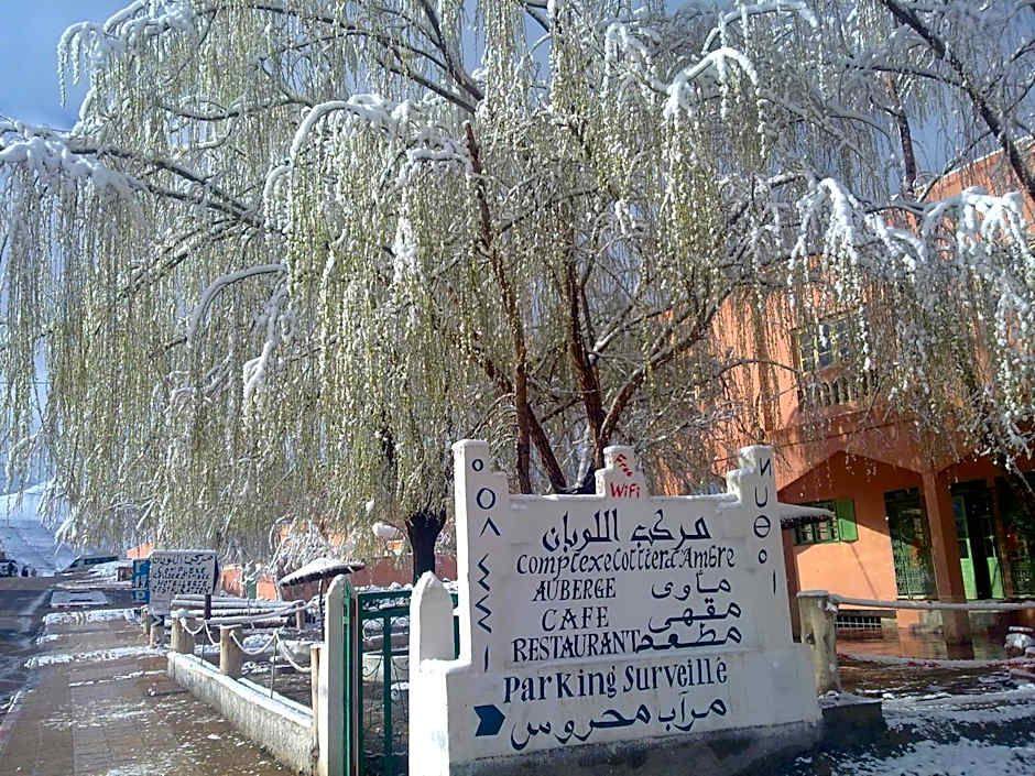 Complexe Collier D' Ambre