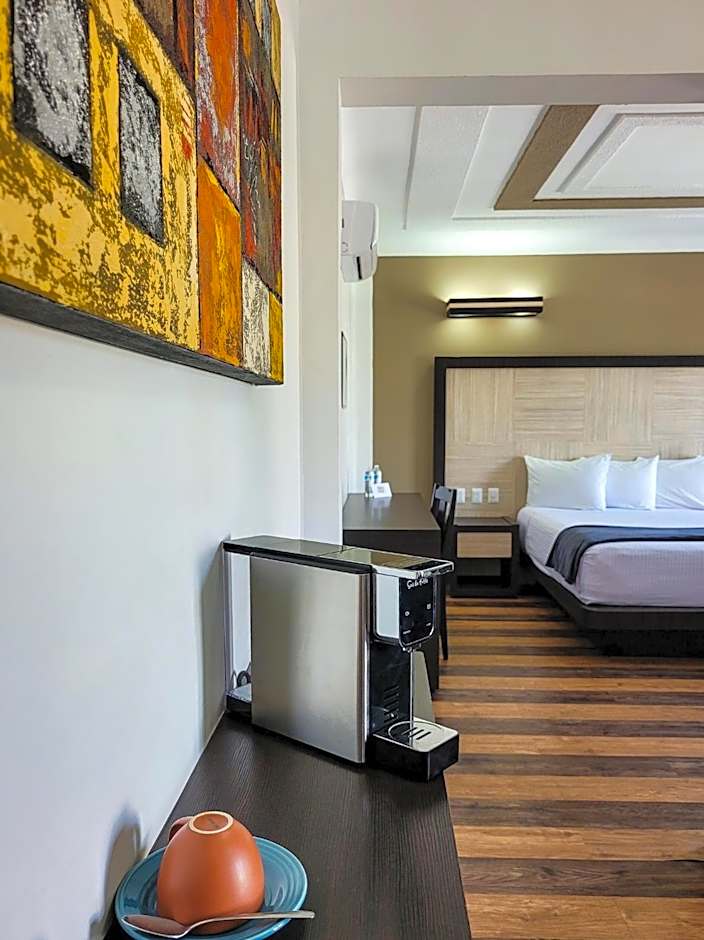 Hotel Paseo de la Presa
