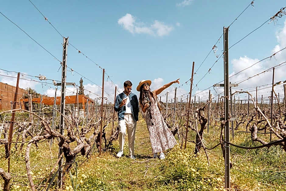 Infinity City Boutique Hotel