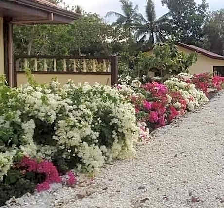 Garden INN