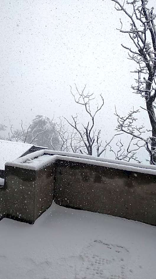 Hotel Amar Palace Shimla