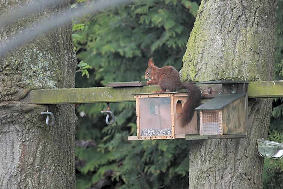 Hotel Pension Haus Stork