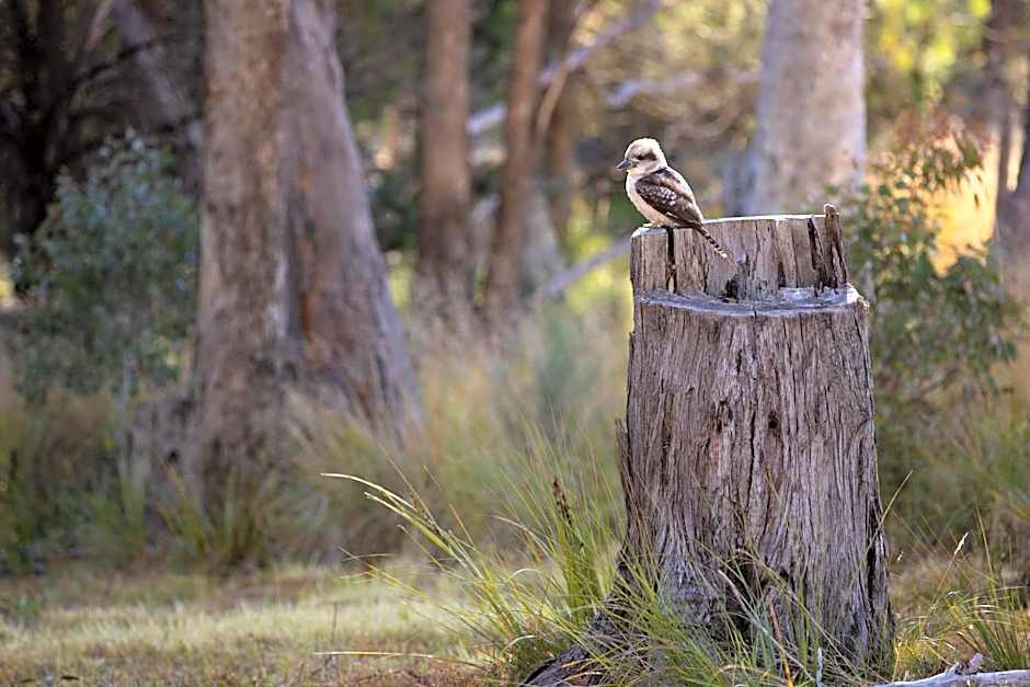 Girraween Country Inn