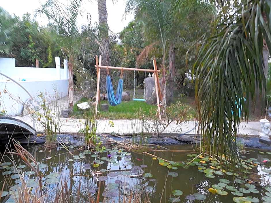 Kmo Yam In The Love Garden