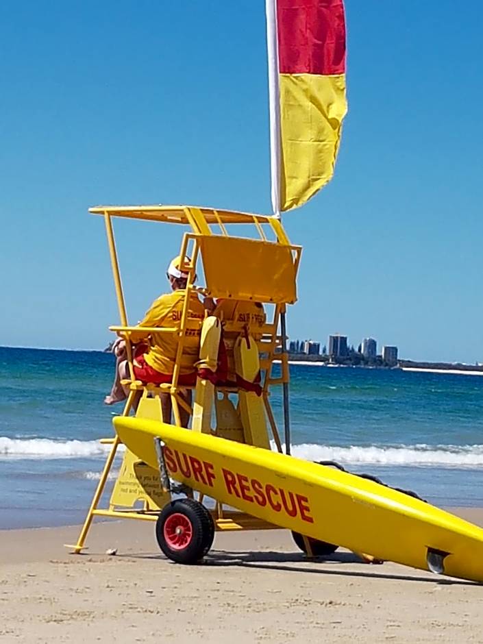 Verve on Cotton Tree