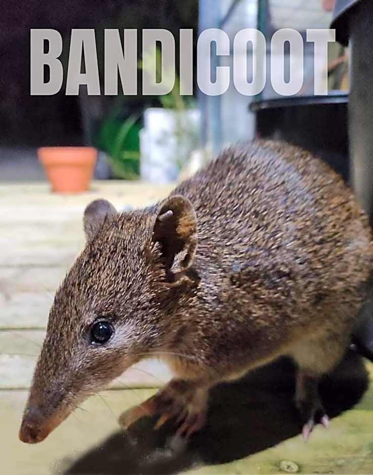 Strahan Wilderness Lodge