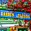 Symi Garden Studios