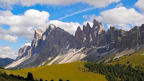 Apartment Hotel Elvis