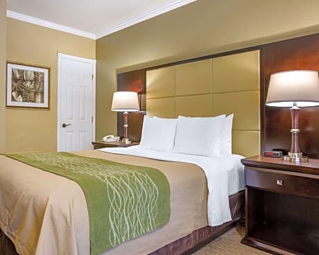 1 Queen Bed, Non-Smoking