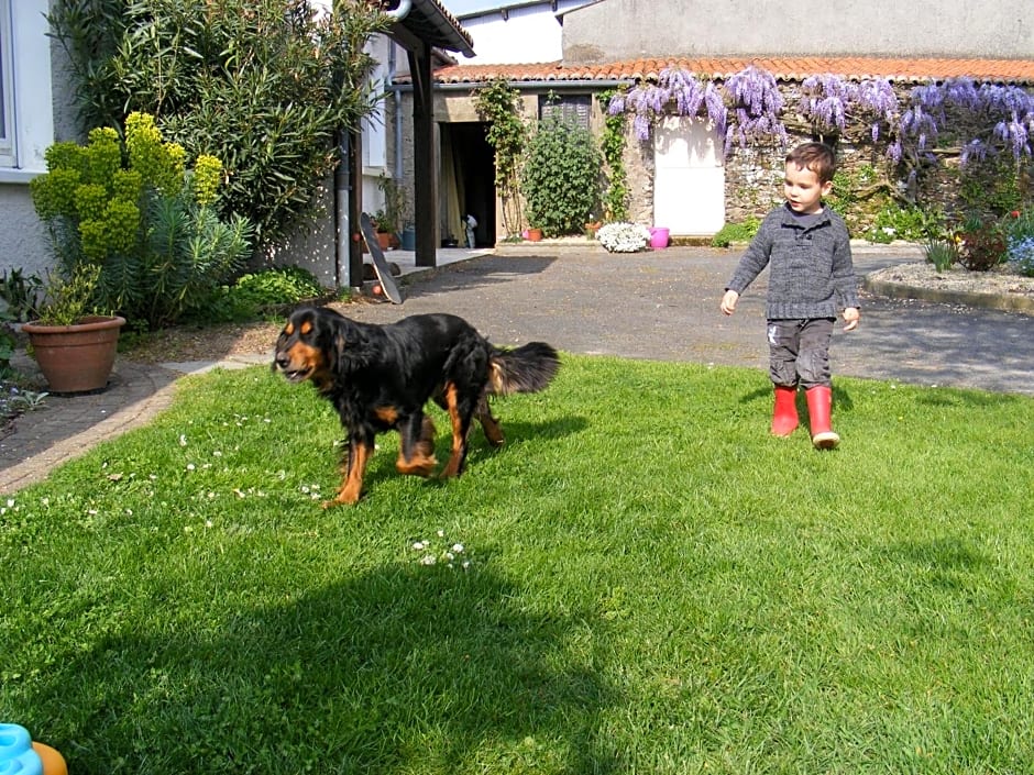 Chambres d'Hôtes Vignes et Loire