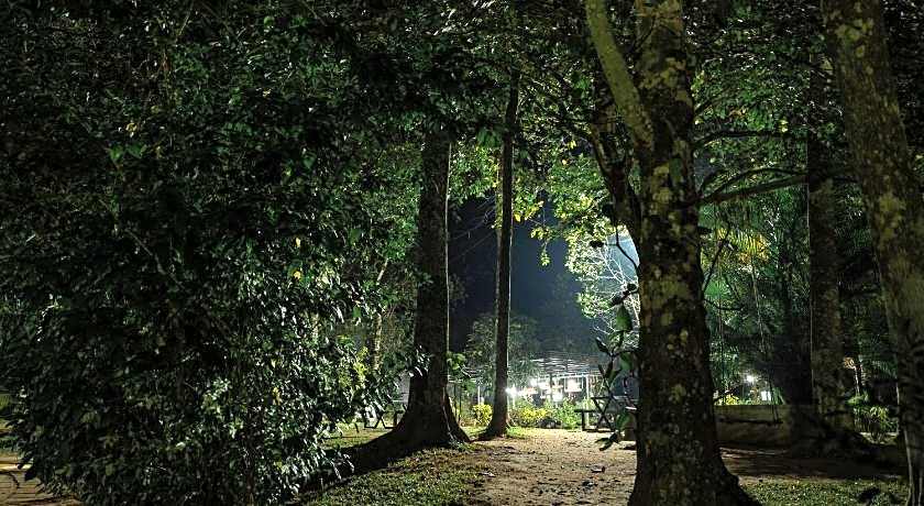 The Mountain Courtyard