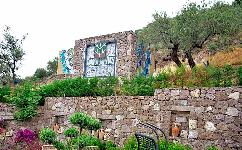 Assos Longevity Hotel