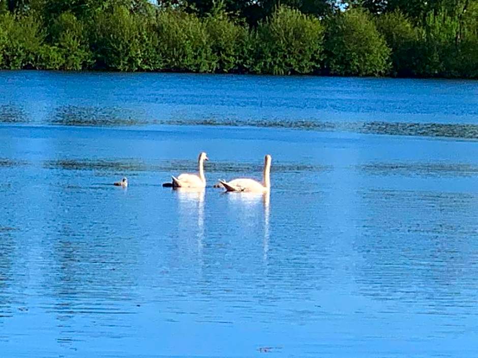 Hotel Seegarten GmbH