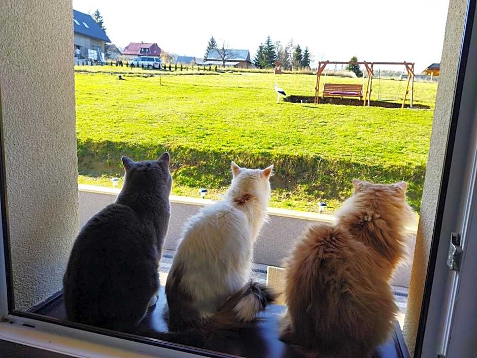 Pokoje goscinne u Olguni