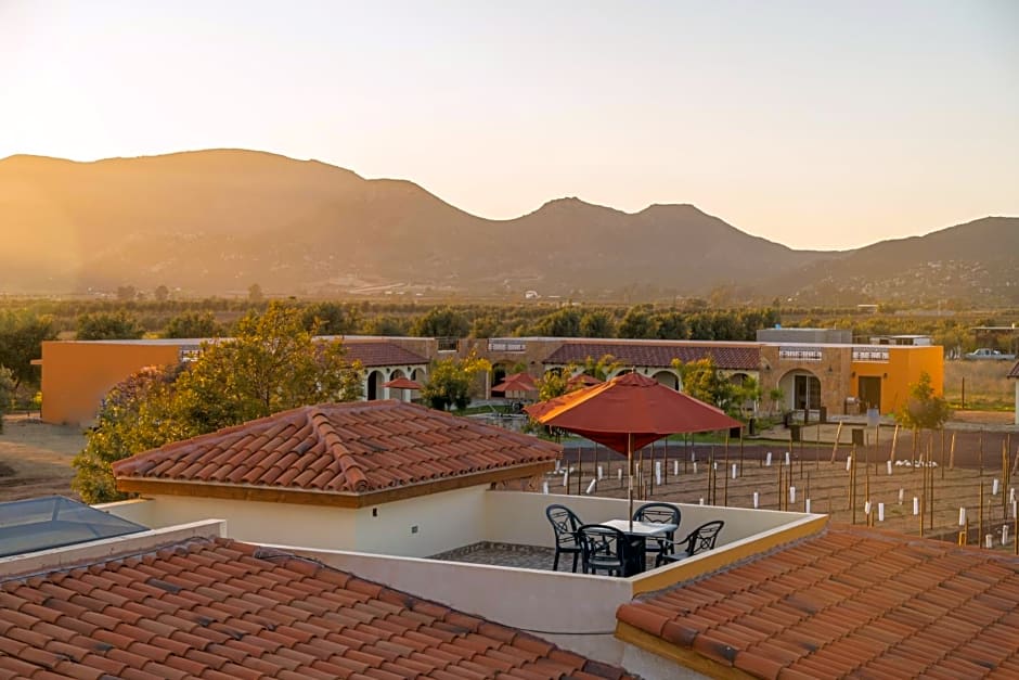 Hacienda Los Olivos, Valle de Guadalupe