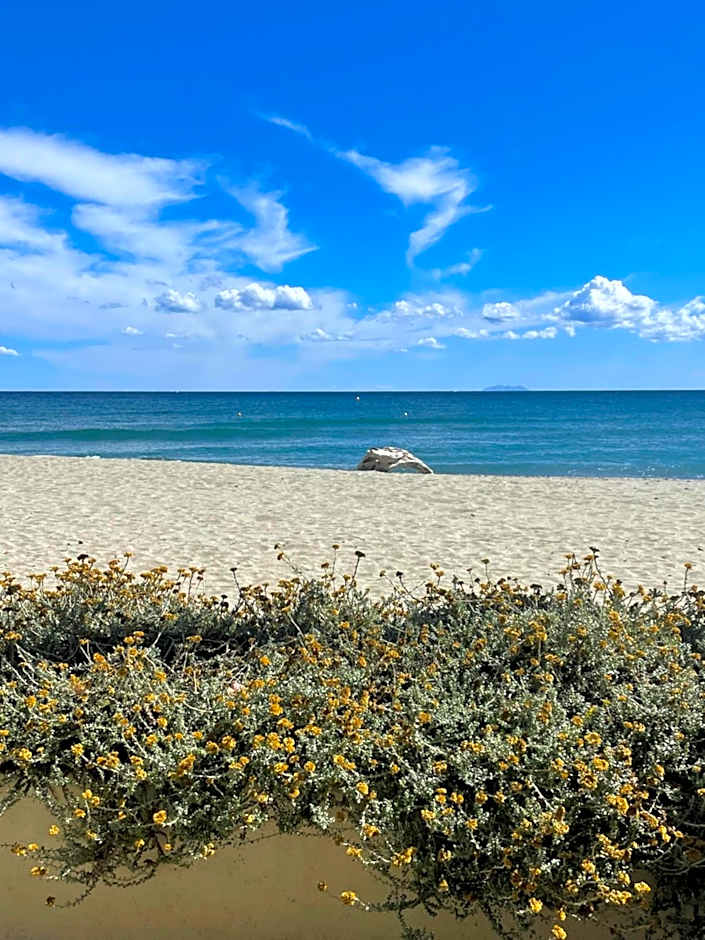 Résidence Pascal Paoli Fior di Mare