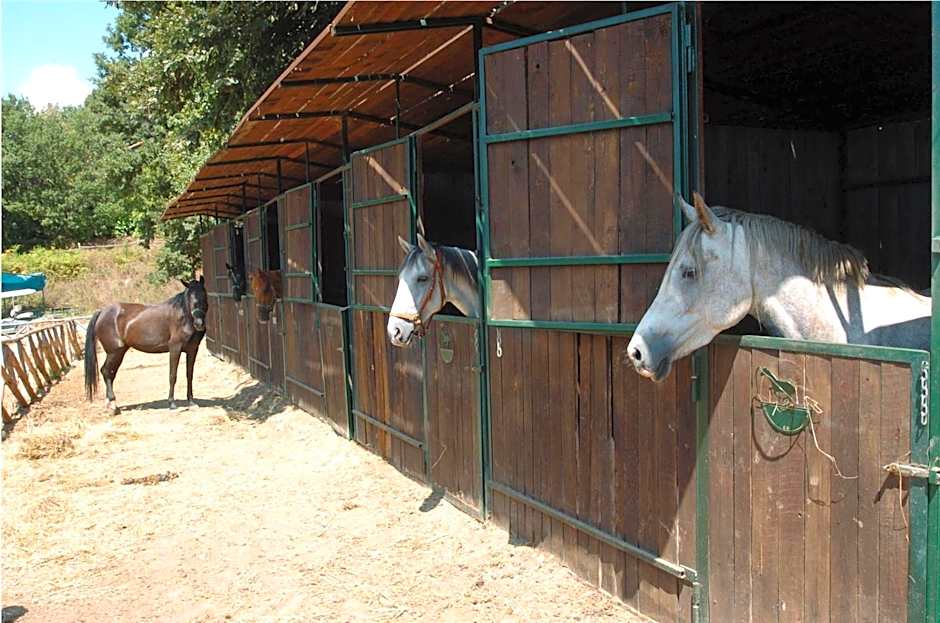 La Riserva Montebello