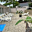 maison avec piscine