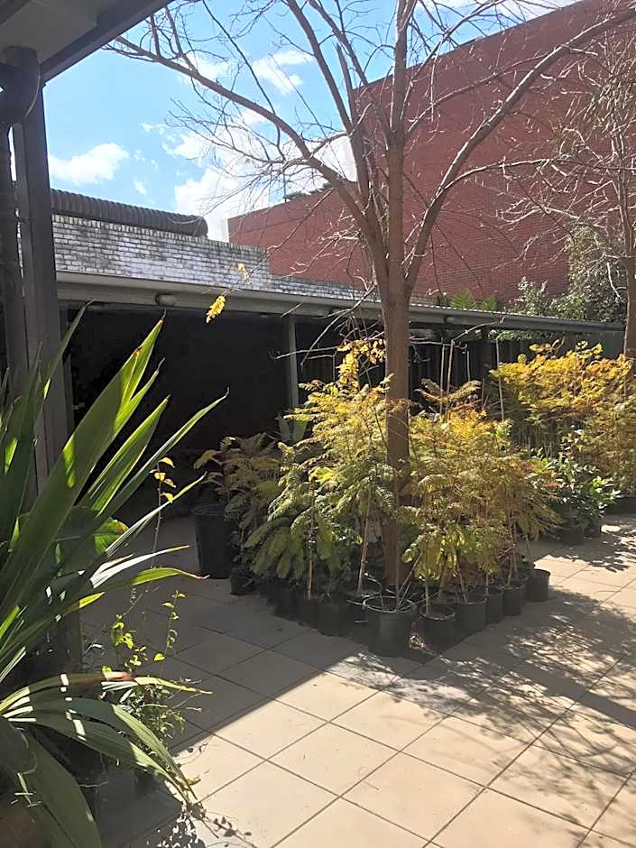 CROWN CENTRAL BUSINESS DISTRICT Motel