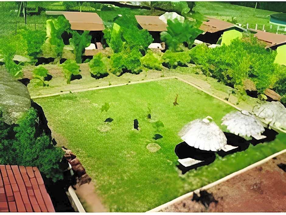 Hotel Kanha (Treasure In Forest)