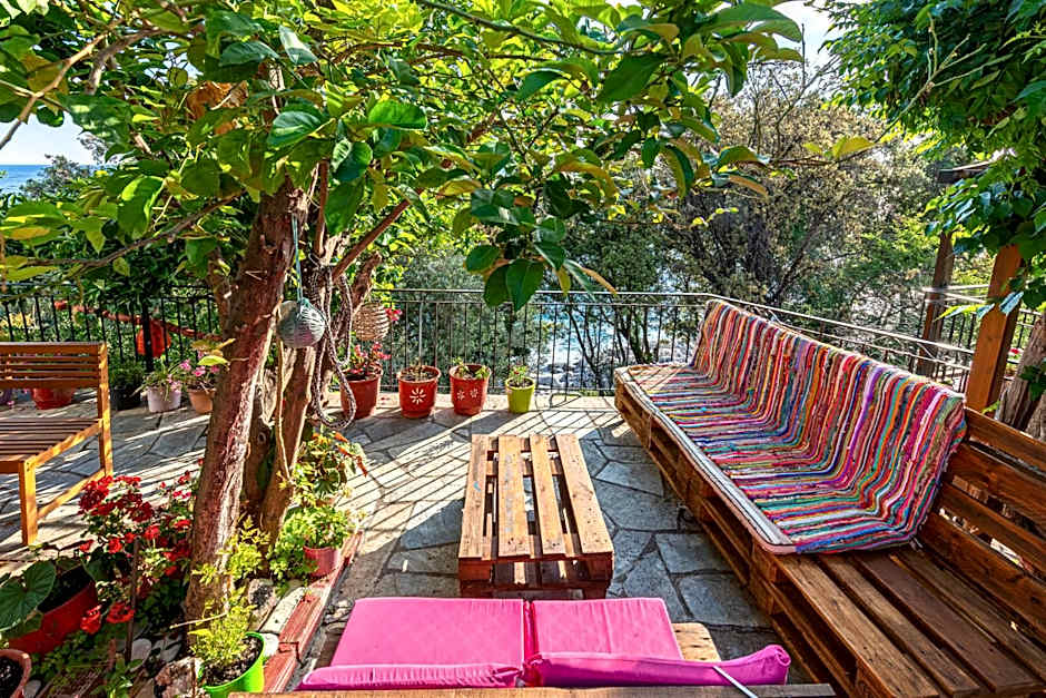 SunRiseStudiosPapanero