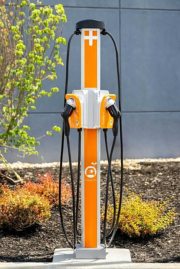 Element Cartersville