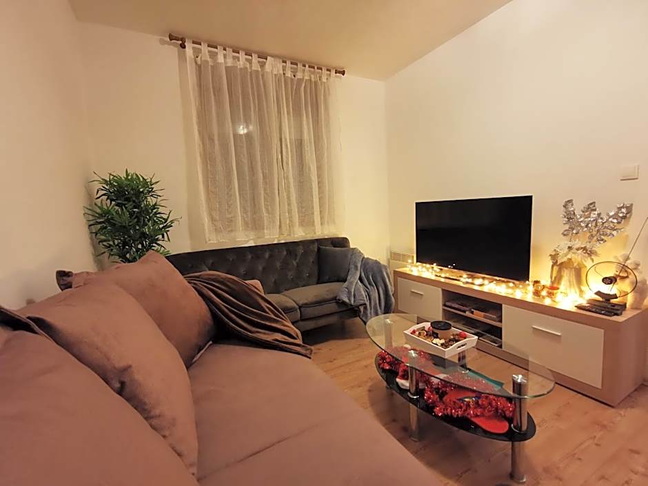 SOKOL - Secret forest house