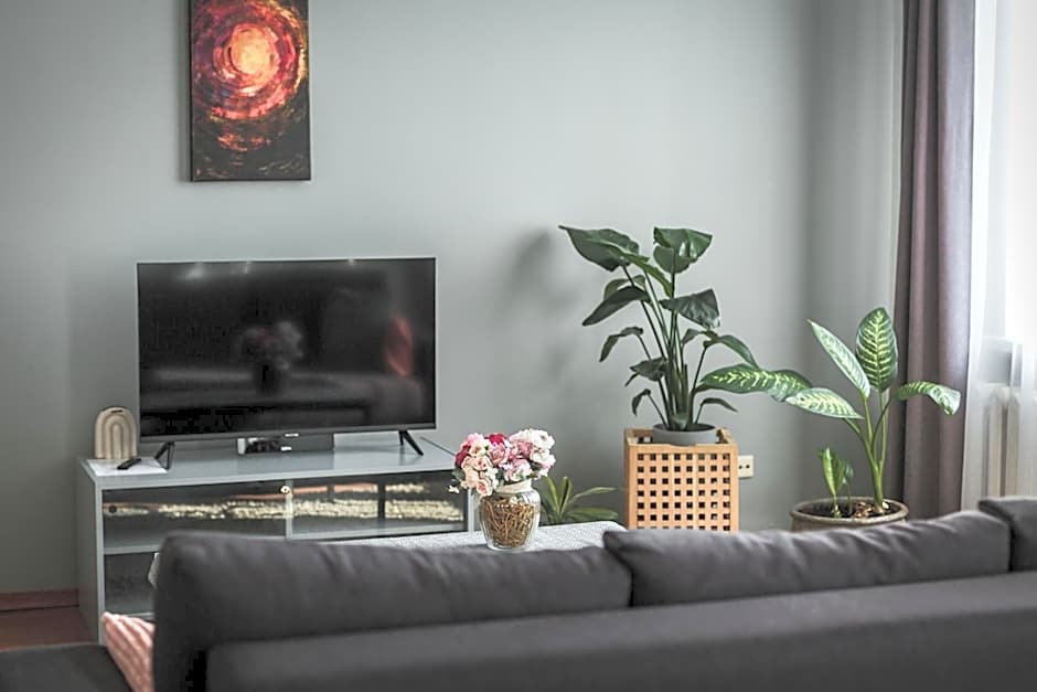 Bearsleys Downtown Apartments