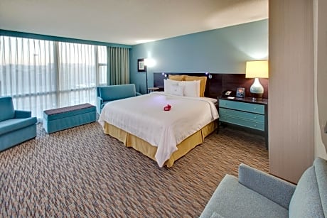 Premium King Room