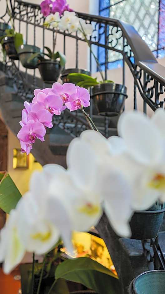 Orchid House Polanco