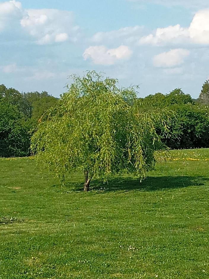 Chez Gondat Chambre d'hotes