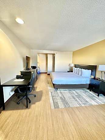 One King Size Bed