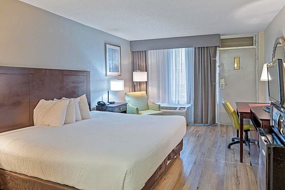 Photo 1 of 7 of 1 King Bed